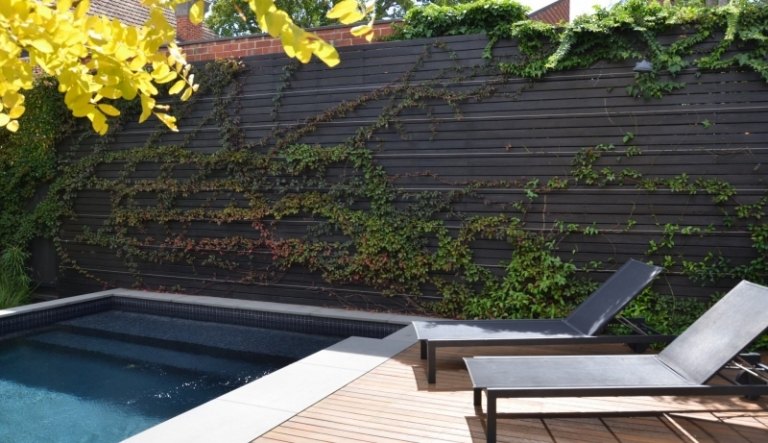 Ideias de jardim-lugares favoritos-ivy-madeira-parede-ideias