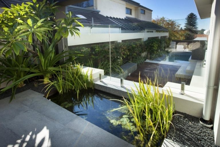 Ideias de jardim - lugares favoritos - lago de jardim - nenúfares - plantas aquáticas