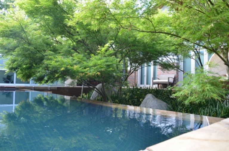 Ideias para jardins - lugares favoritos - piscina - ideias para coníferas