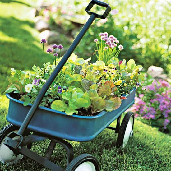 ideias para jardins, coisas velhas, planta de carroça