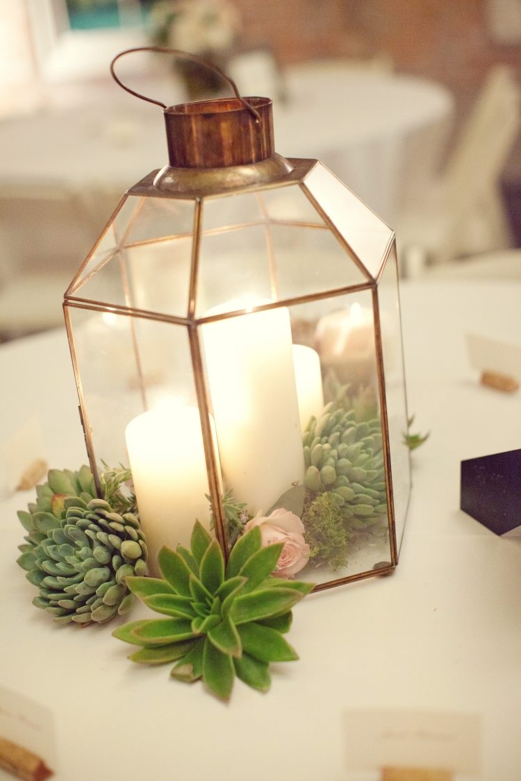 lanternas de jardim-velas-vidro-terrário-suculentas-hexagonal