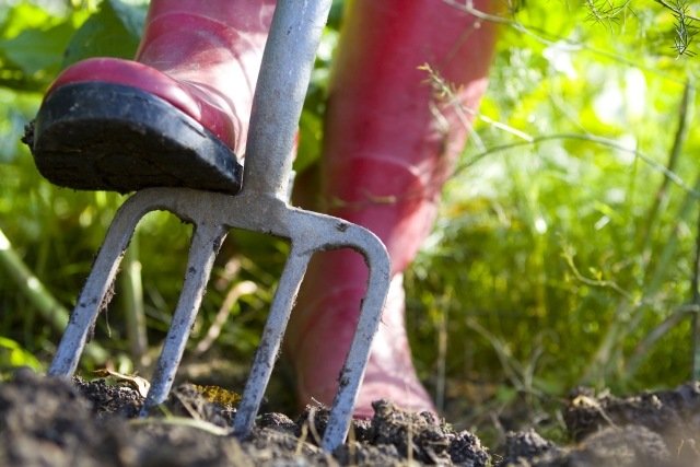 Prepare dicas de jardinagem para a primavera de inverno