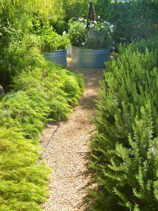 Plantas perenes de jardim verde construindo caminhos de cascalho