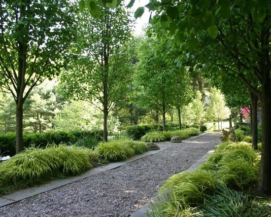 caminho com caminho de jardim à sombra de árvores com cascalho