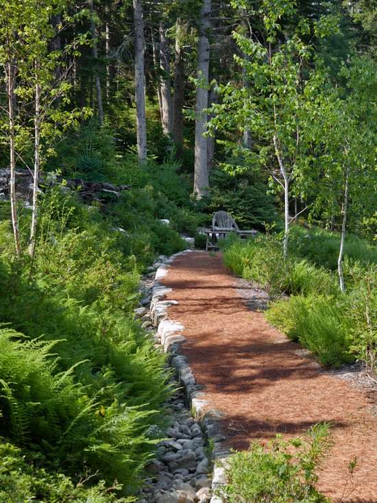 projeto de jardins em forma de floresta arquitetura paisagística moderna