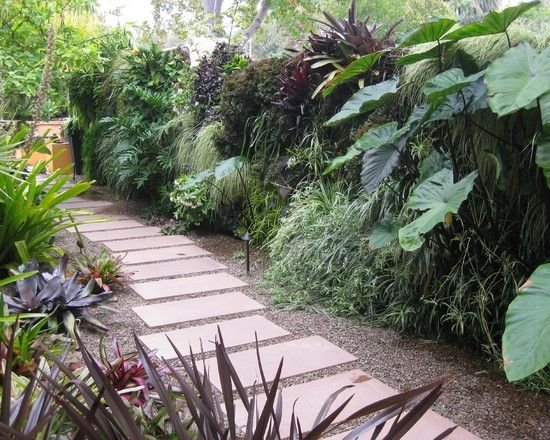 parede verde privacidade proteção ideias jardim stepping stones