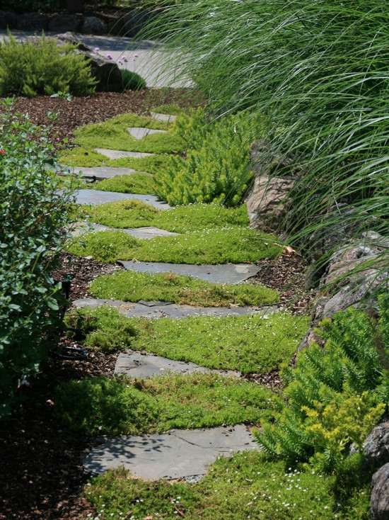 caminhos de jardim planejando estilo country-design-stones criam imagens