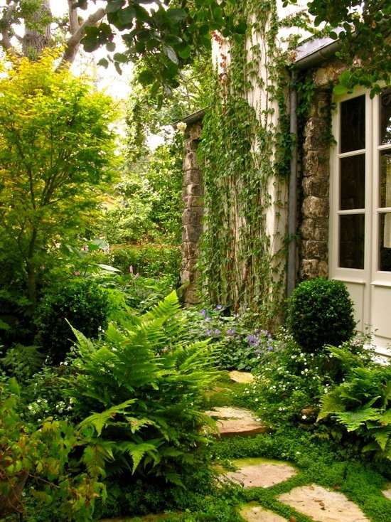 Caminhos de jardim com mato casa de trepadeiras de hera