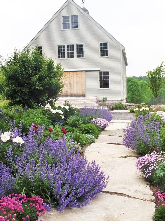 caminhos de jardim ideias arenito trampolins lavanda