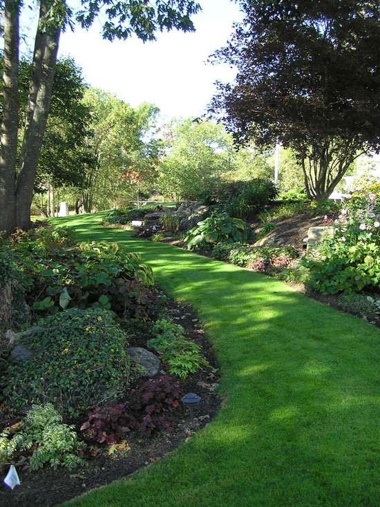 Ideias para caminhos de gramado, design de jardins, idéias de paisagismo baratas