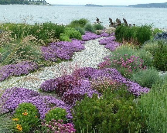 Ideias de design de jardins selvagens Caminhos de jardim contornando árvores perenes