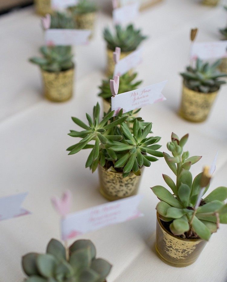 favores-casamento-pequenos-vasos-plantas-suculentas-pingentes