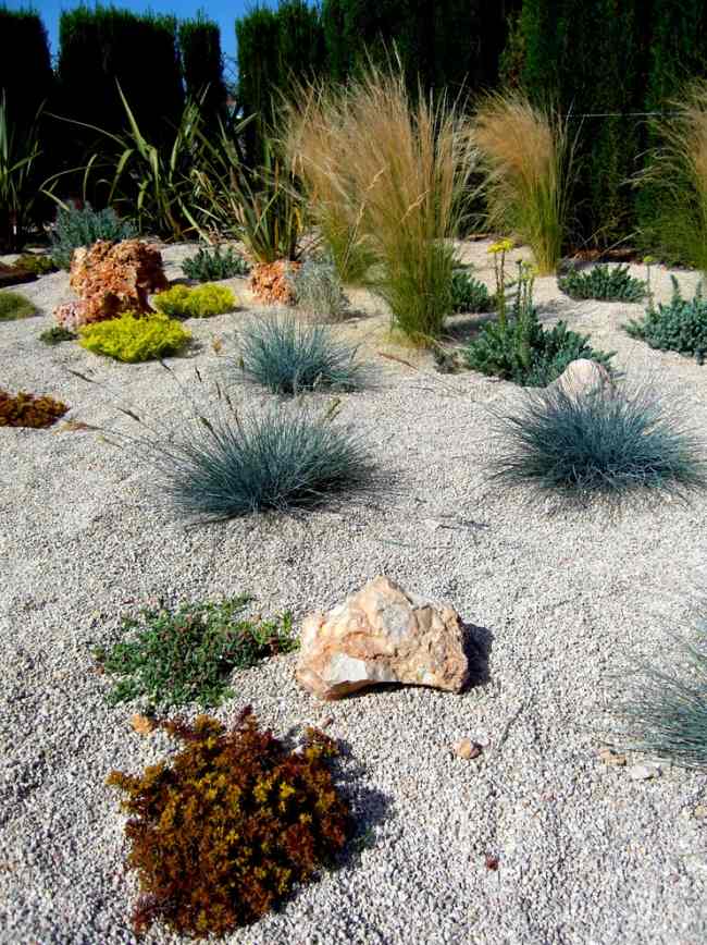 Cultive a grama ornamental da paisagem do jardim mediterrâneo Crie um jardim de pedras