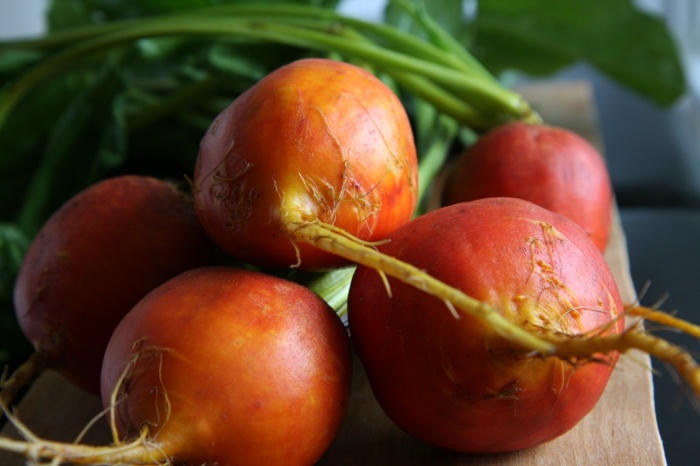 Horta de raiz vegetal de laranja pray