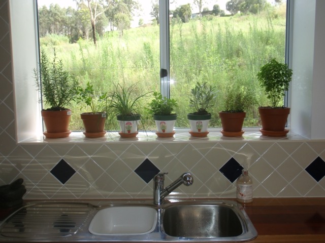 Cozinha com pia de cozinha com ervas e vegetais