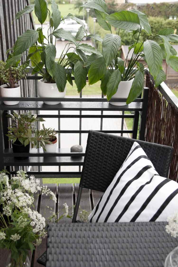 varanda-design-aconchegante-preto-branco-plástico de rattan-pequenas plantas