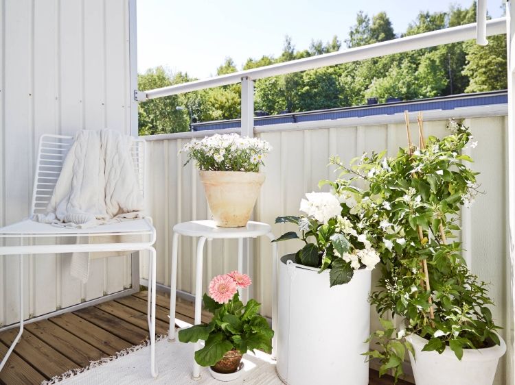 varanda-design-aconchegante-pequeno-branco-plantas-vasos de flores-corredor