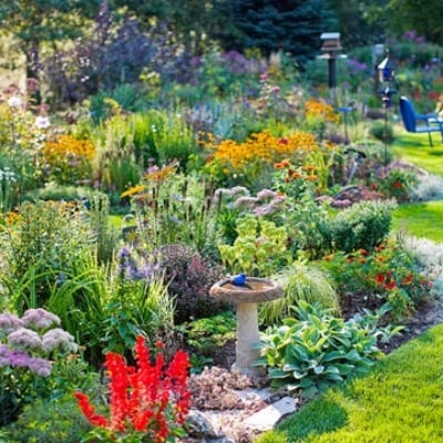 Ideias para pássaros no jardim atraem diversidade