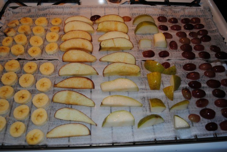 frutas secas-fazendo-forno-convecção-dicas-assando-fácil