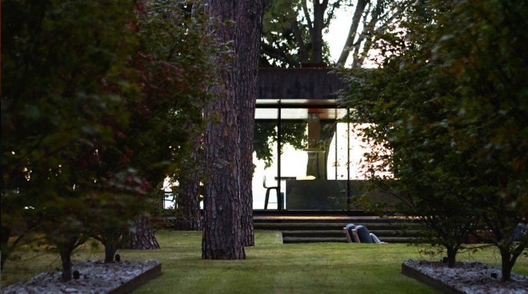 casa de vidro-natureza-floresta-jardim-gramado-árvores-sombra