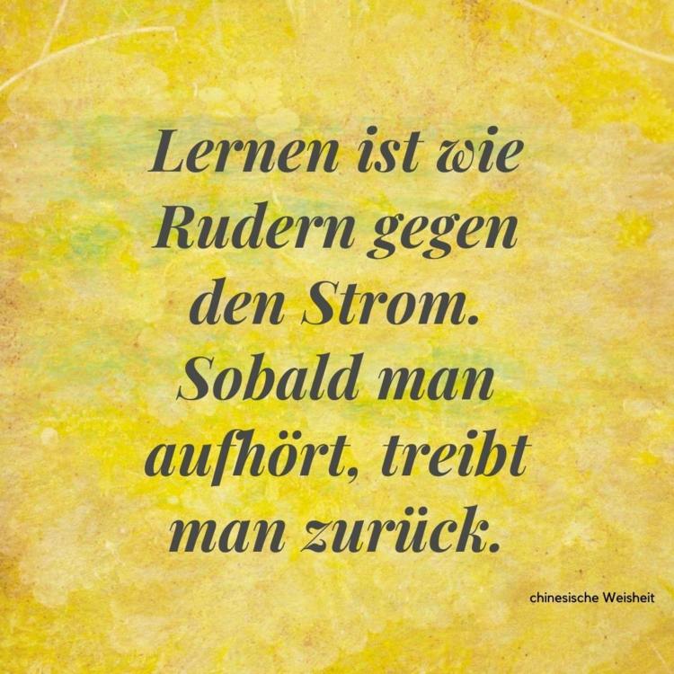 Provérbio chinês - aprender é como remar contra a corrente