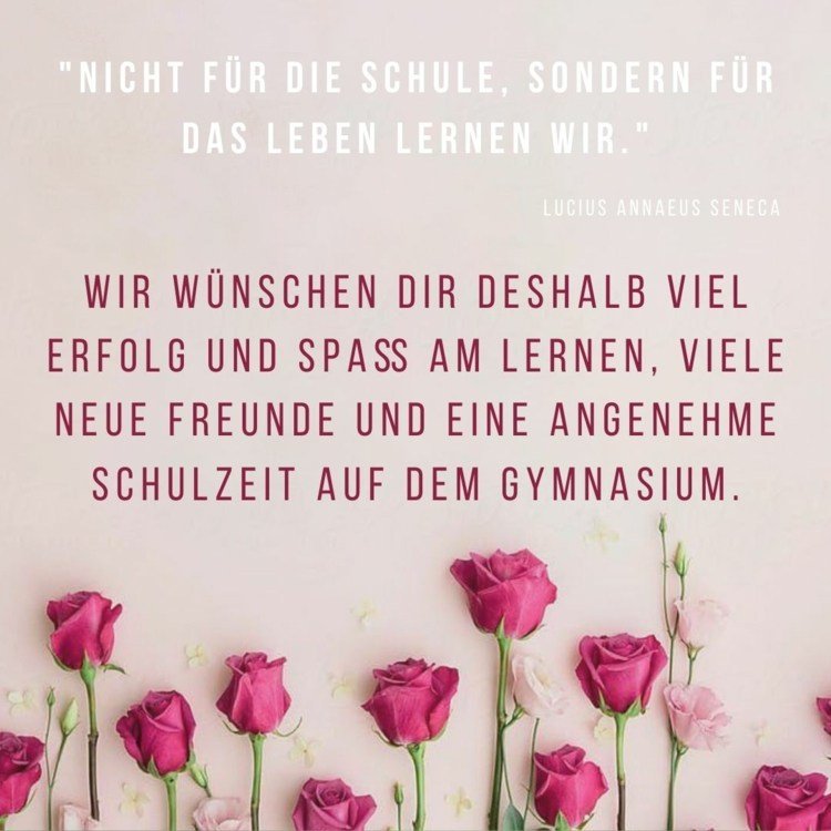 Parabéns para as meninas com rosas - Divirta-se aprendendo com uma citação de Seneca