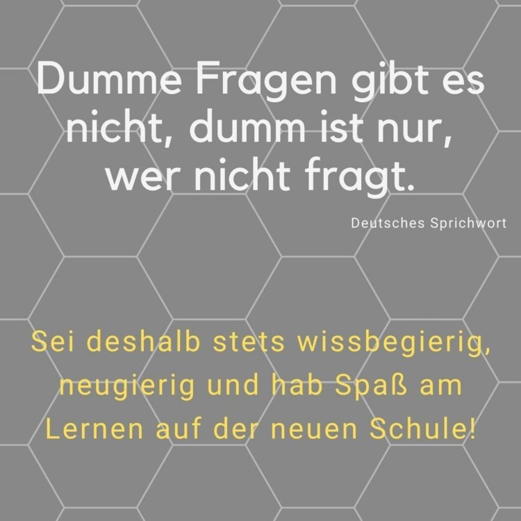 Não há perguntas estúpidas - provérbio alemão para o cartão de felicitações