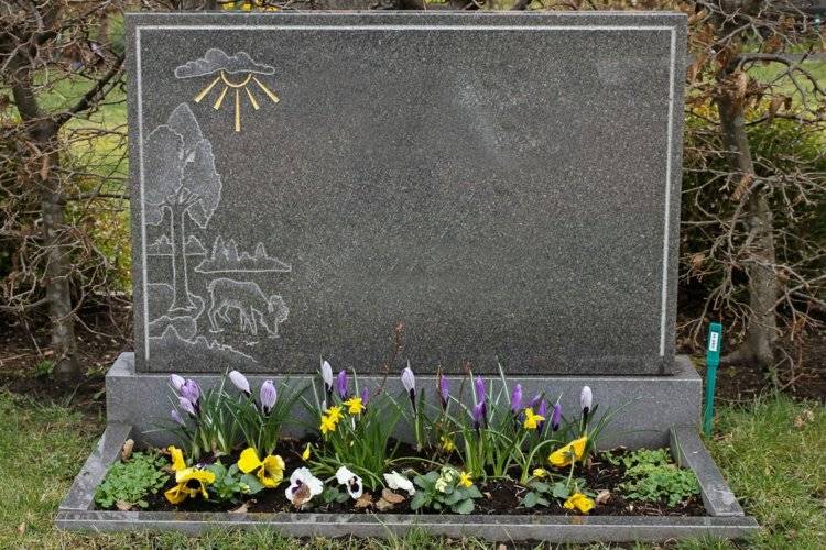 ideias-sepultura-design-crocuses-yellow-pansy-flower canteiros