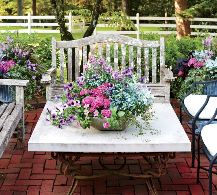 mesa de verão terraço petúnias dianthus evergreen