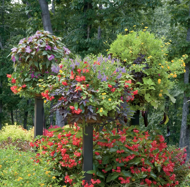 Plantador de aço exuberante de verão