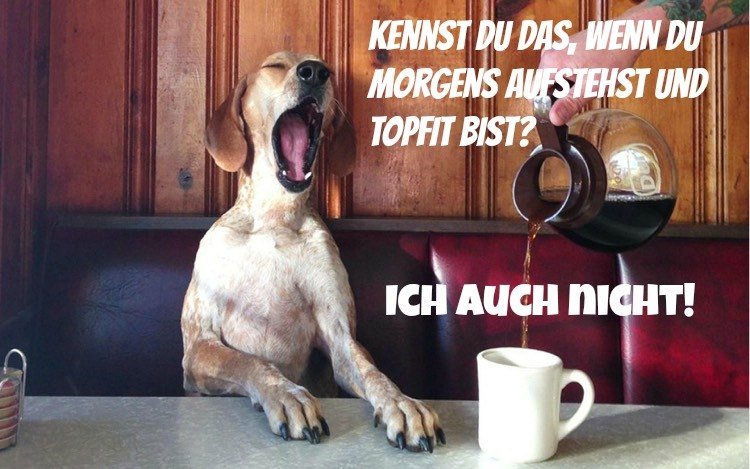 good-morning-pictures-funny-dog-coffee