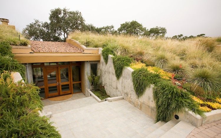 slope-planting-grasses-sedum-acre-hang-plants