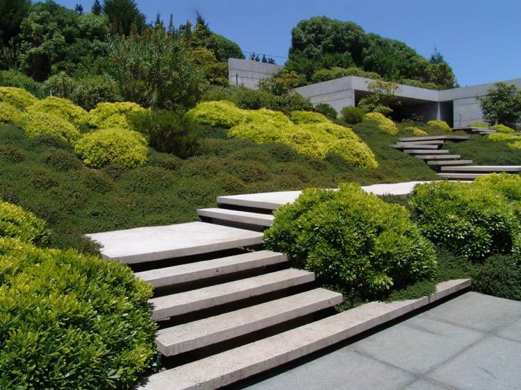 encosta-plantio-solo-cobertura-arbustos-exemplo-escada moderna