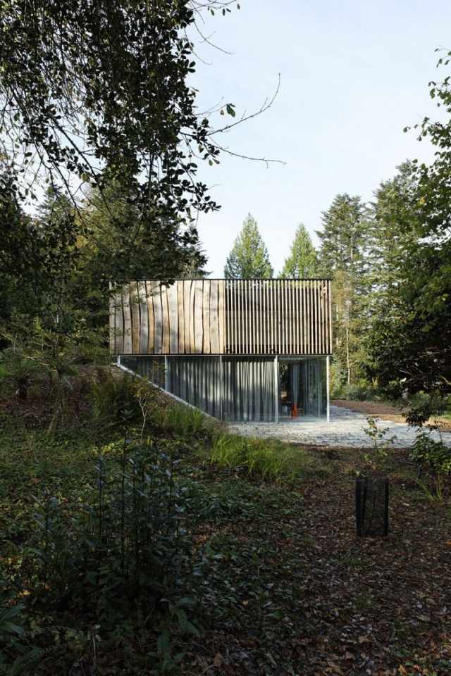Casa arquitetura floresta verde naturalidade ar fresco