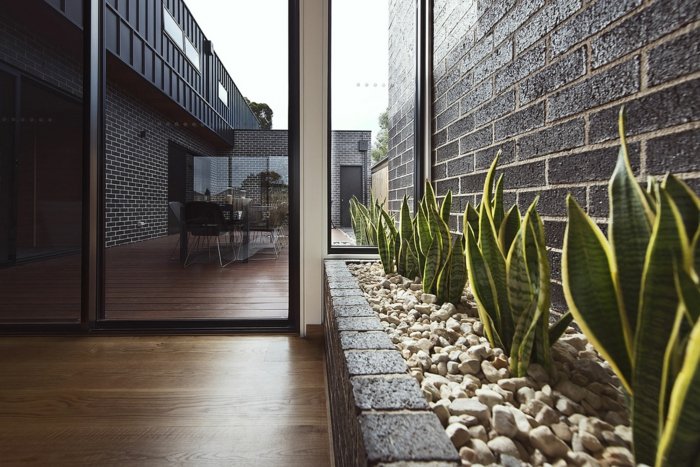 design de interiores plantas cubas vaso cascalho decoração terraço piso de madeira