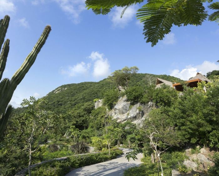 casa nas montanhas do méxico plantas de férias