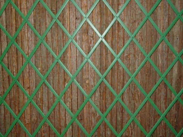 Grade feita de plástico com tinta verde na parede