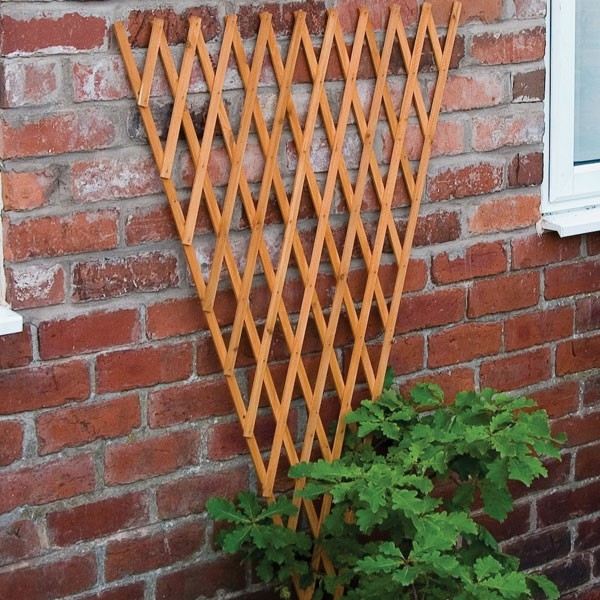 green- flowers- house- side- trellis- wood