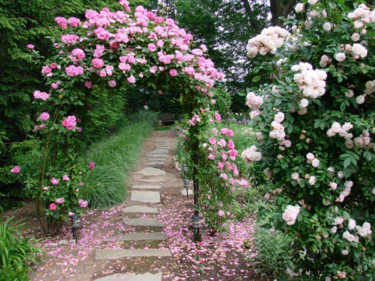 treliça para plantas portão-jardim-rosa-flor-jardim caminho-pedra
