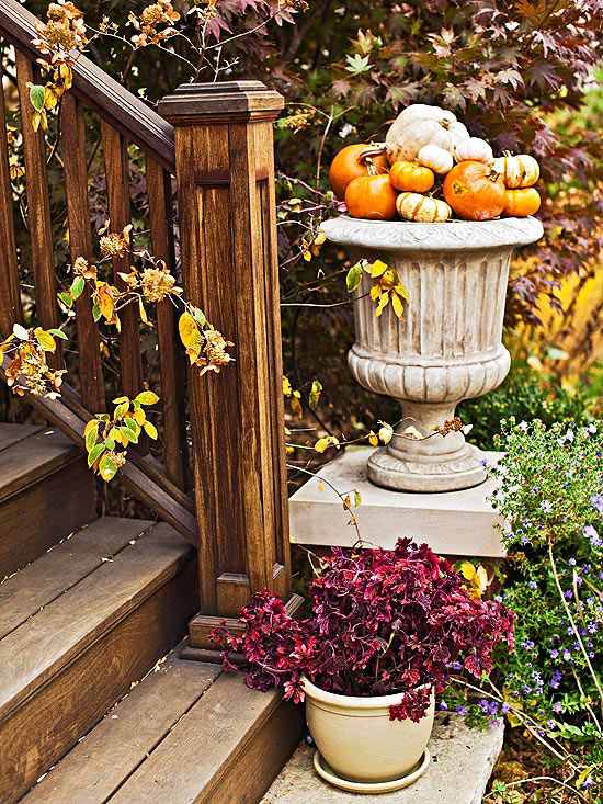 Decore escadas - mini abóboras - vaso com flores de outono roxas