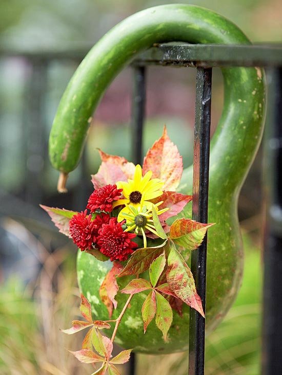 Flores ornamentais de abóbora verde-vaso-atmosfera de outono na grade de metal da varanda
