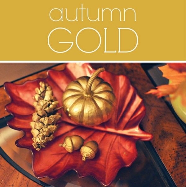 Outono em ouro com nozes e abóboras