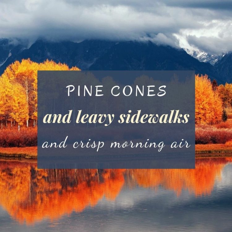 Paisagem com árvores de outono e nuvens cinzentas - dizendo em inglês