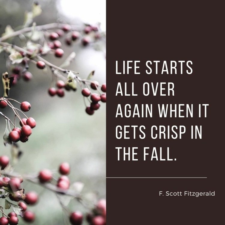 A vida começa tudo de novo a partir de Fitzgerald e Berries como uma imagem