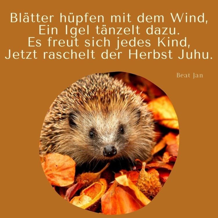 Poema de outono para crianças sobre o ouriço