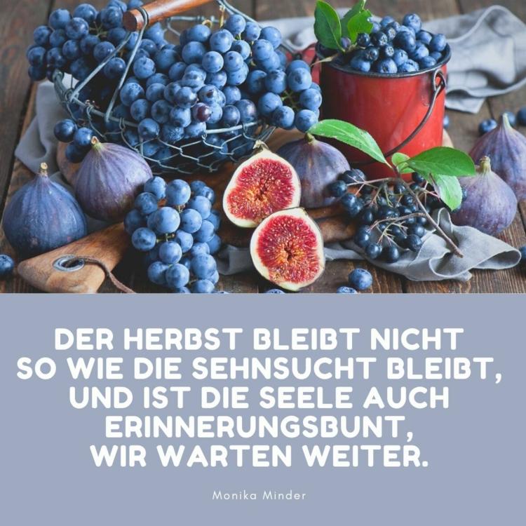 Ditado nostálgico com frutas de outono como uma imagem - uvas e figos