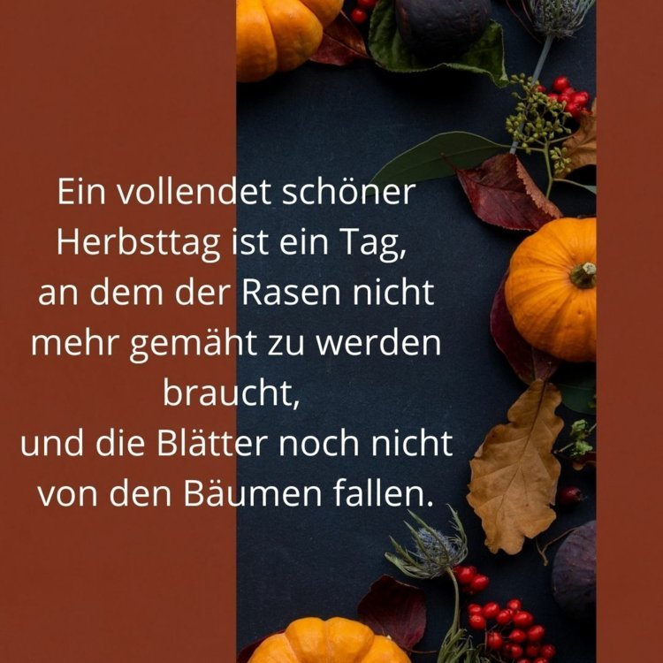 Provérbios do outono - Um dia de outono perfeitamente lindo