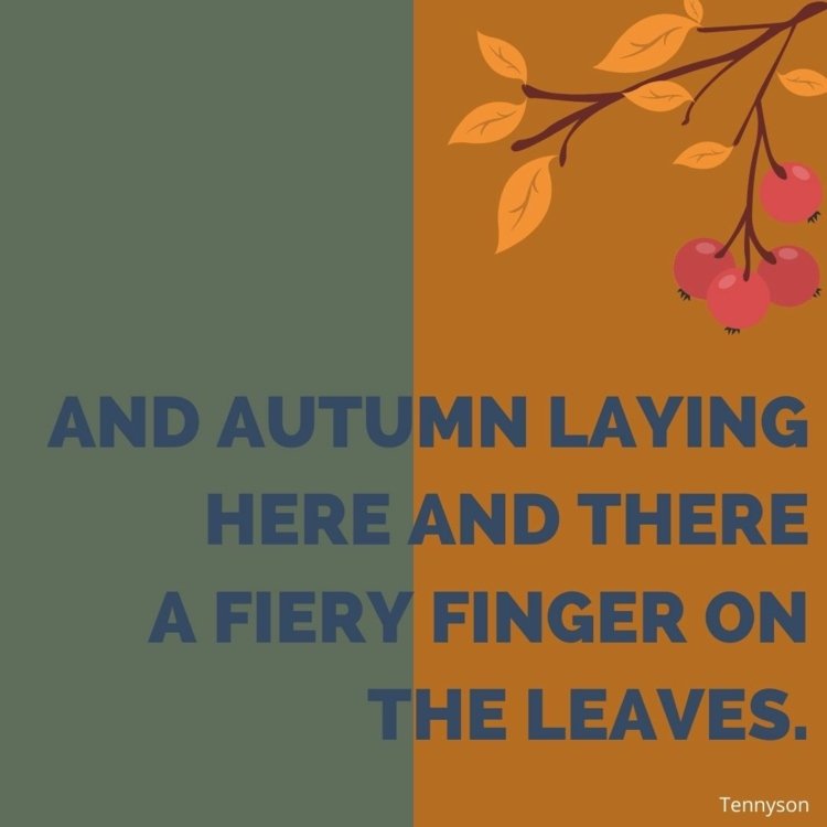 Provérbios de outono criativos para enviar a amigos e familiares
