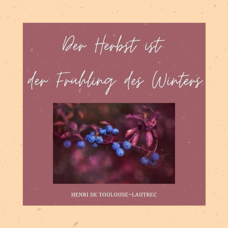 O outono é a primavera do inverno com frutas vermelhas como uma imagem