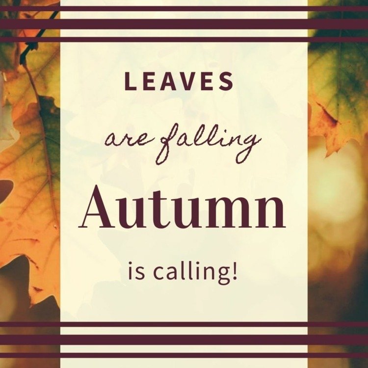English Autumn Sayings - As folhas estão caindo, o outono está chamando